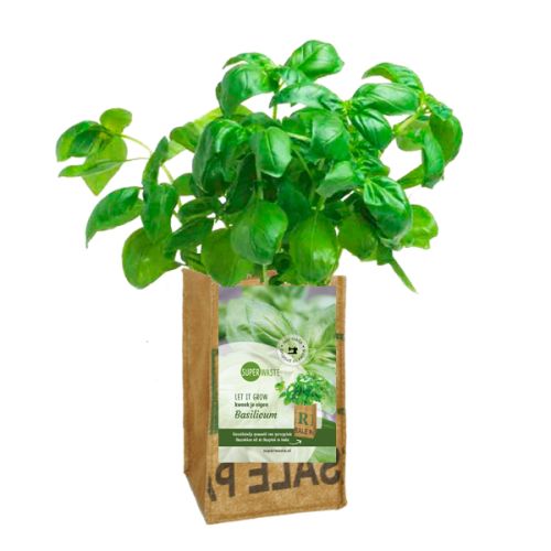 Grow bag flowers or herbs - Image 9